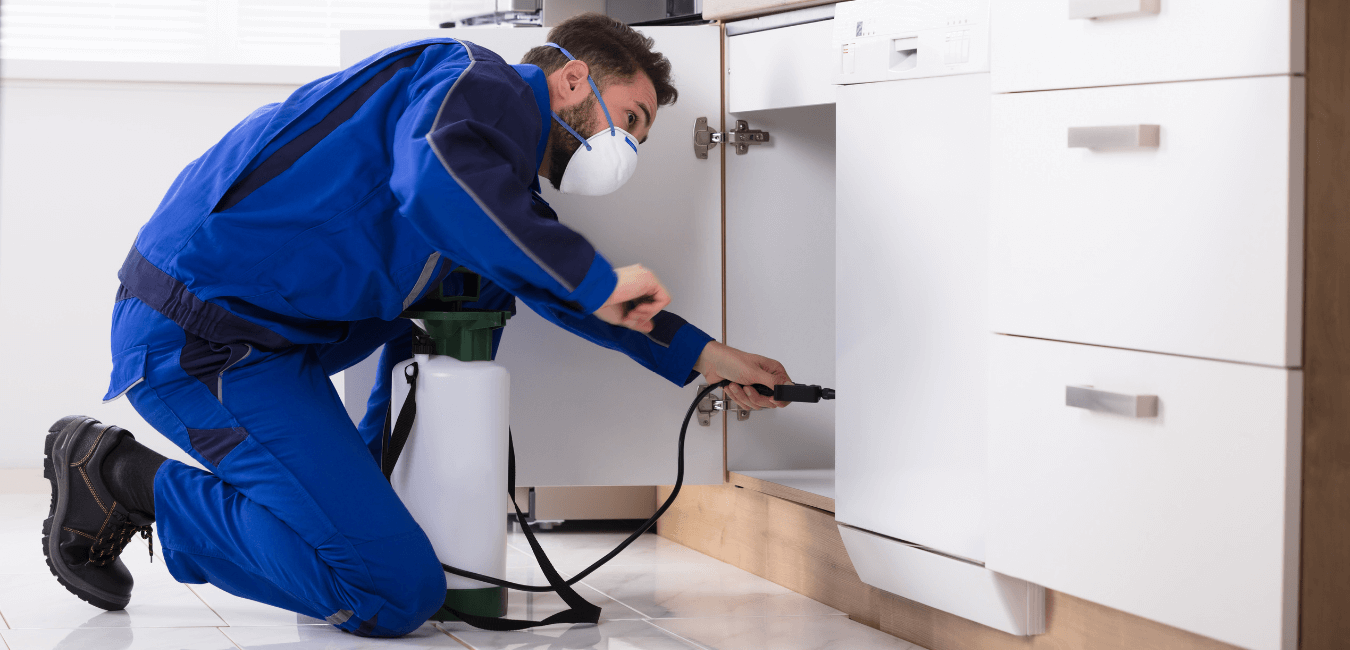 Commercial Pest Control Brisbane